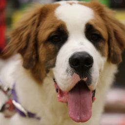 photograph by PeterW